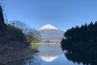 田貫湖の湖畔！逆さ富士