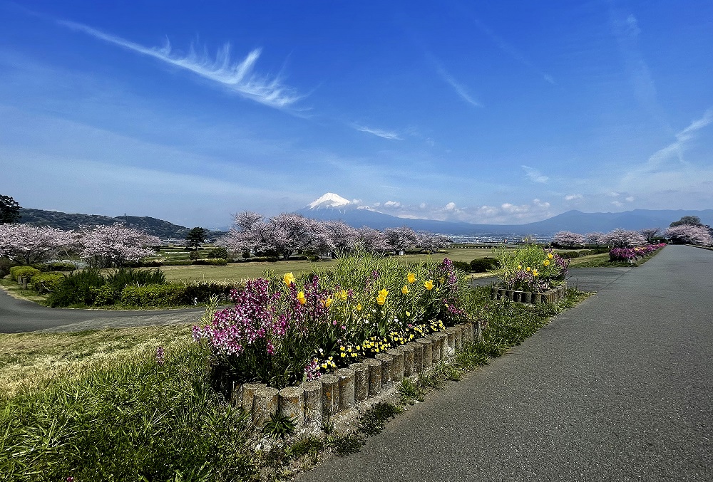 松岡新規分譲地