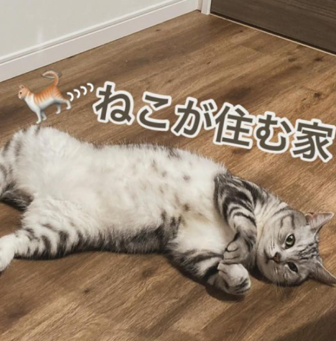 IDKおうちフォト057