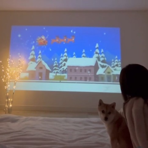 20251218_mameshiba.kurumi22-1080