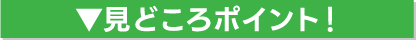 見どころポイント！